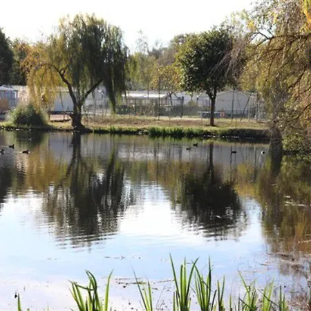 Mobil-home Avec Terrasse Pour 6 Personnes - Api-1-52-386 مكان تخييم